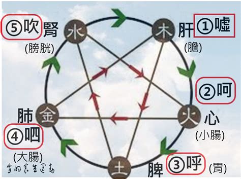 六字氣訣|中醫臟腑呼吸養生法